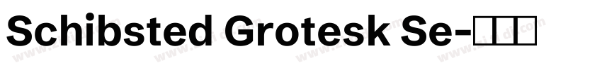 Schibsted Grotesk Se字体转换